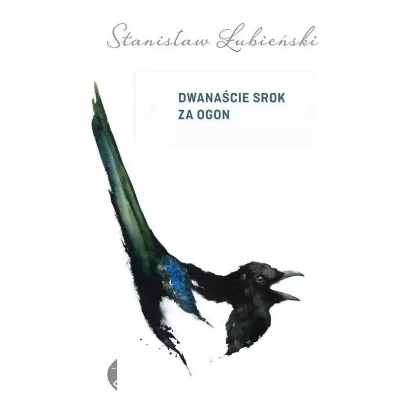 Oferta DWANAŚCIE SROK ZA OGON
