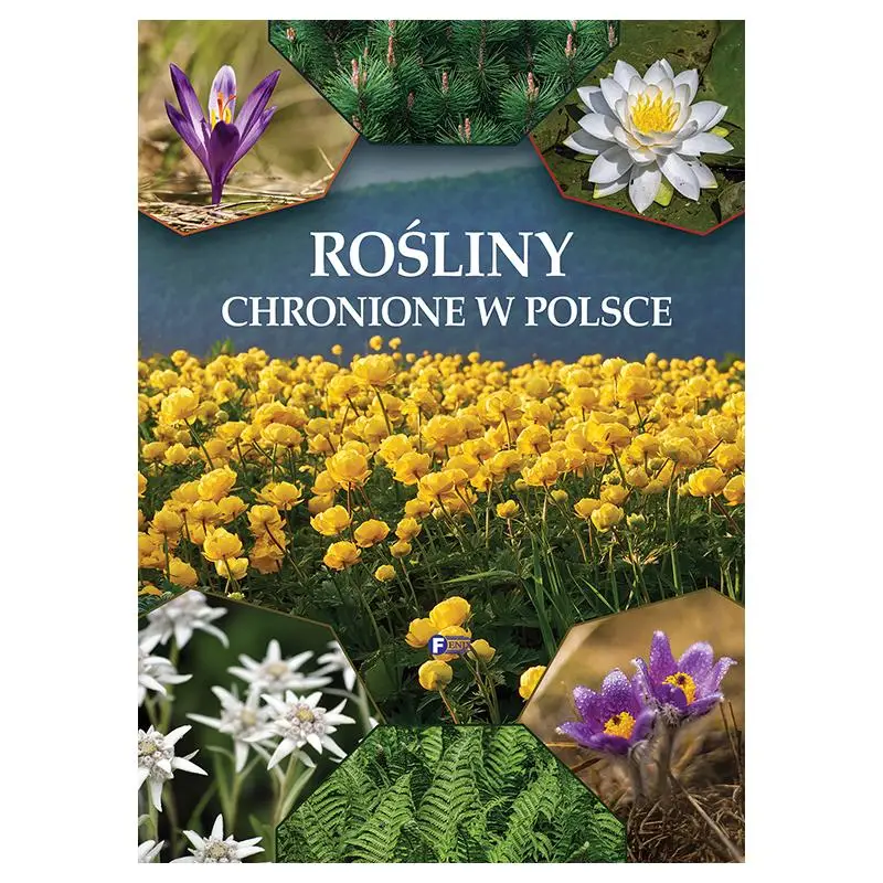 Hit cenowy ROŚLINY CHRONIONE W POLSCE