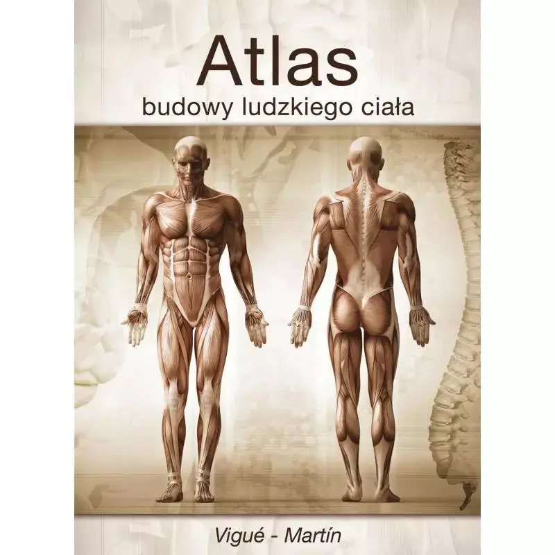 ATLAS BUDOWY LUDZKIEGO CIAŁA Kup teraz
