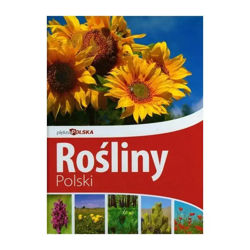 Najlepsza cena ROŚLINY POLSKI. PIĘKNA POLSKA