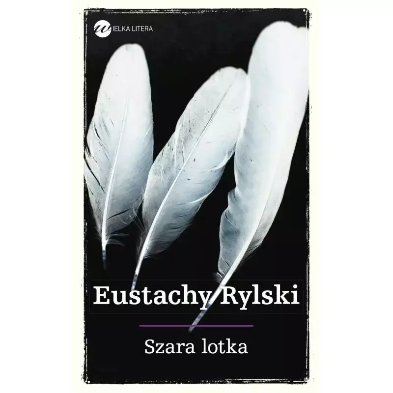 Bezpieczne zakupy SZARA LOTKA