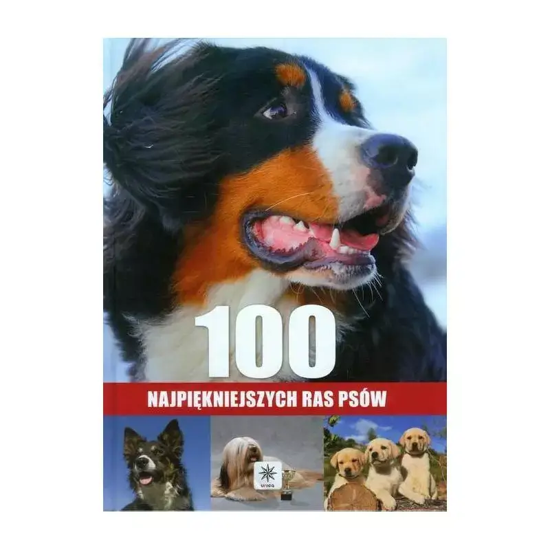 Premium 100 NAJPIĘKNIEJSZYCH RAS PSÓW AGNIESZKA NOJSZEWSKA
