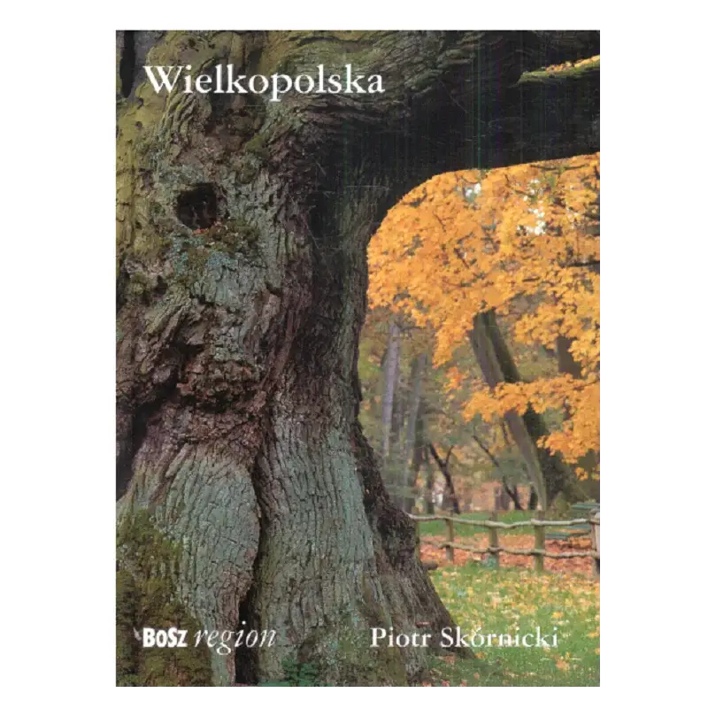 Ostatnie sztuki WIELKOPOLSKA ALBUM PIOTR SKÓRNICKI
