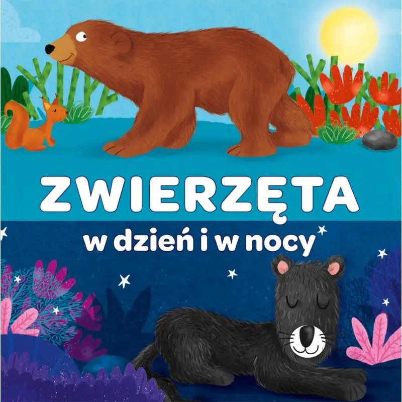 Tylko dziś ZWIERZĘTA W DZIEŃ I W NOCY HARMONIJKA KAPITAN NAUKA