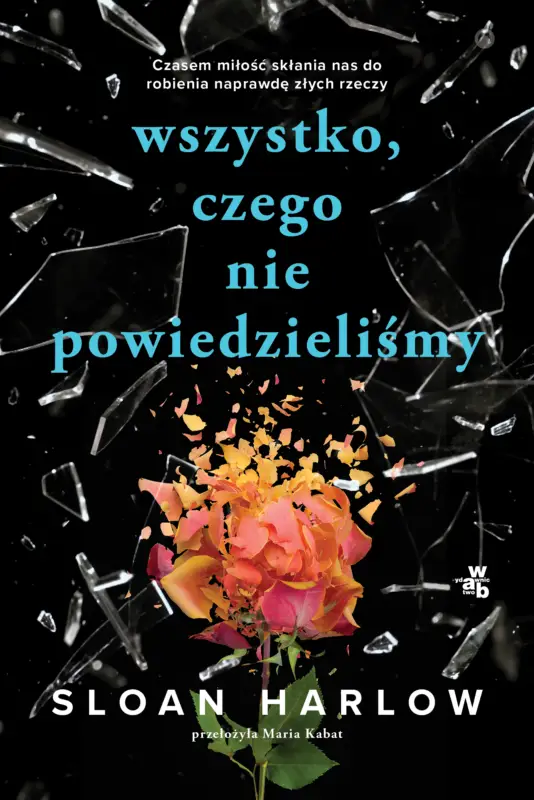 Wyprzedaż Wszystko, czego nie powiedzieliśmy