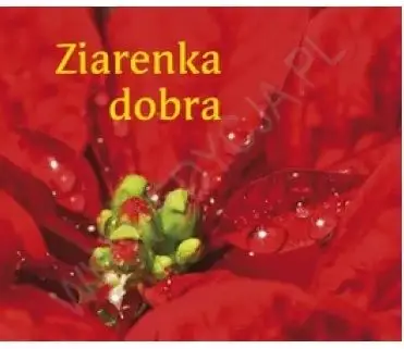 Ziarenka dobra. Perełka Taniej