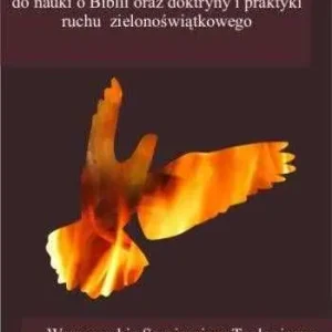 Premium Wprowadzenie do nauki o Biblii oraz doktryny i praktyki ruchu zielonoświątkowego (Elżbieta Bednarz, Romuald Tomaszewski)