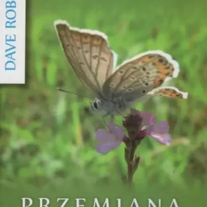 Oferta PRZEMIANA DUSZY(Dave Roberson)