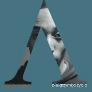 Niska cena PIELGRZYMKA ŻYCIA(David Zeidan)