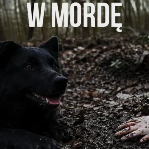 Kup teraz W mordę