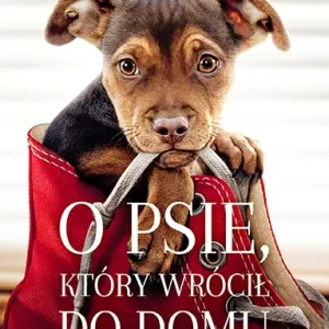 Sprawdź teraz O psie, który wrócił do domu