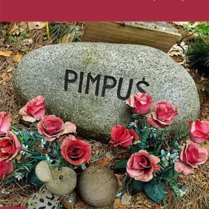 Oferta To był tylko pies. O żałobie po zwierzętach