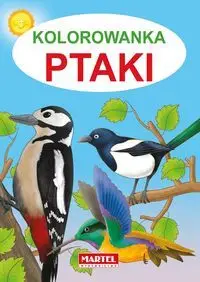 Ptaki kolorowanka Obniżka ceny