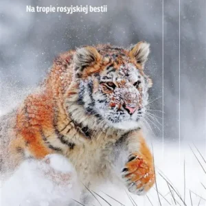 Tygrys. Na tropie rosyjskiej bestii Zniżka
