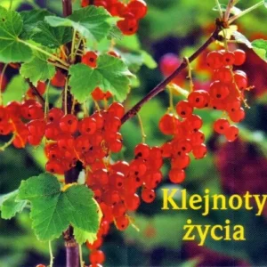 Klejnoty życia. Perełka 143 Nowość