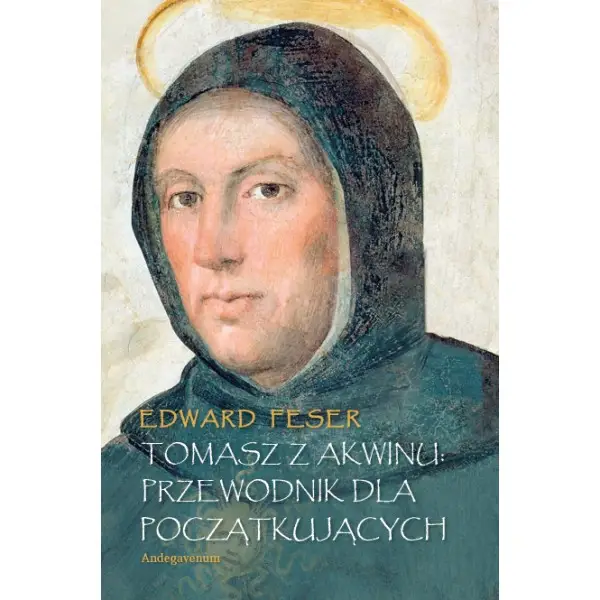 Dostępne od ręki Tomasz z Akwinu. Przewodnik dla początkujących