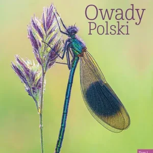 Owady Polski. Tom 1 Ostatnia szansa