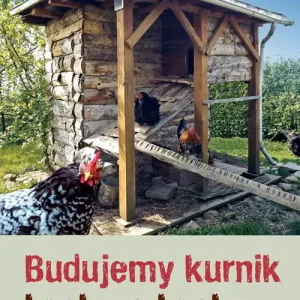 Budujemy kurnik krok po kroku Rabat