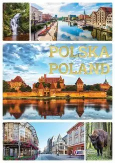 Hit sprzedaży Polska Poland