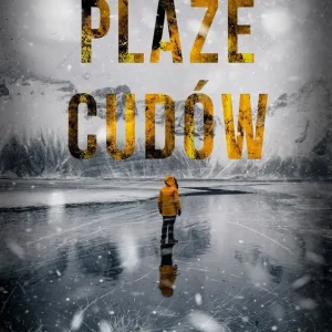 Plaże cudów. Komisarz Erlendur Sveinsson. Tom 11 Super okazja